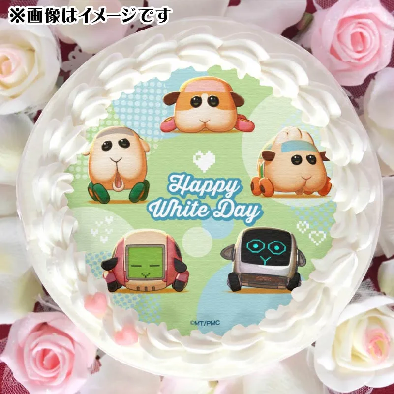 PUI PUI モルカー