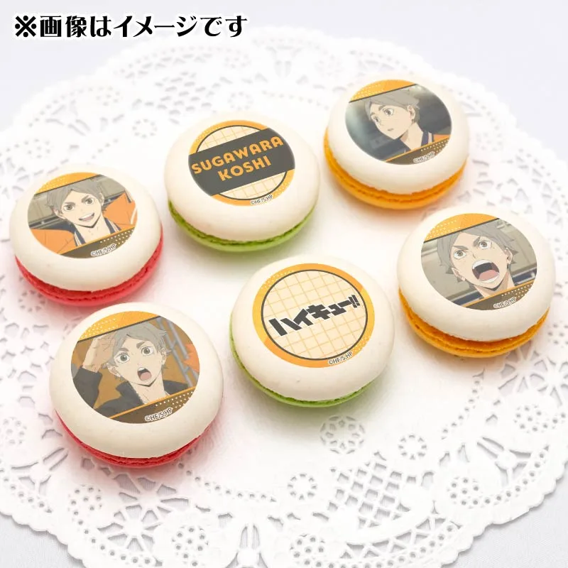 プリマカロン6個セット2025（菅原孝支）【特典缶バッジ付き】[ハイキュー!!]