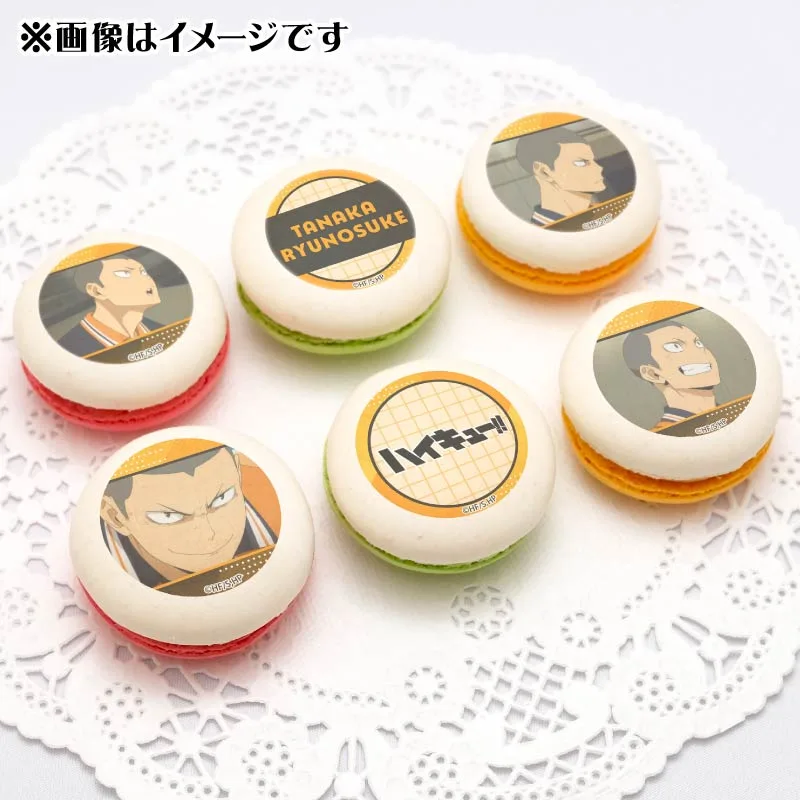 プリマカロン6個セット2025（田中龍之介）【特典缶バッジ付き】[ハイキュー!!]