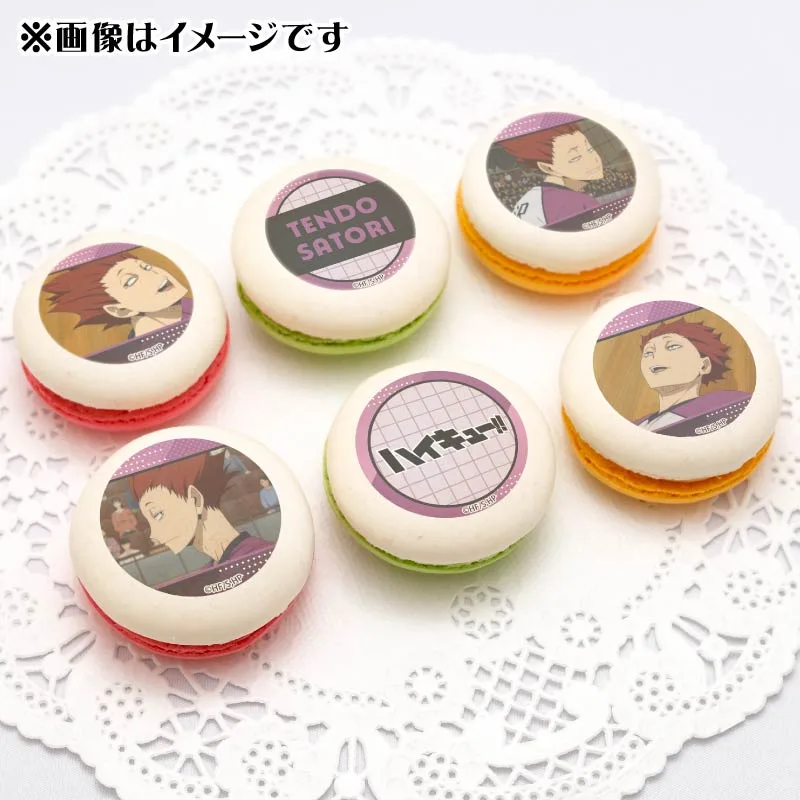 プリマカロン6個セット2025（天童 覚）【特典缶バッジ付き】[ハイキュー!!]
