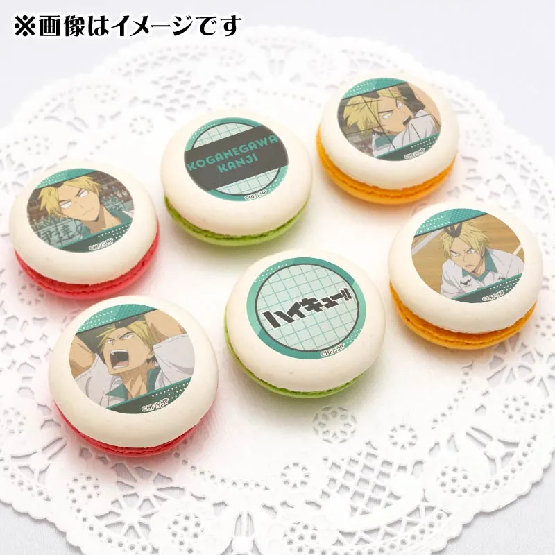 プリマカロン6個セット2025（黄金川貫至）【特典缶バッジ付き】[ハイキュー!!]