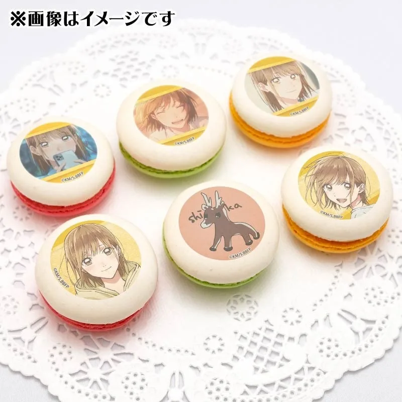 プリマカロン6個セット（鹿野千夏）【特典ポストカード付き】[アオのハコ]
