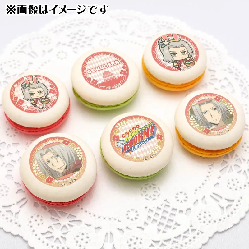 イースターデザインプリマカロン6個セット（獄寺隼人）【特典缶バッジ付き】[家庭教師ヒットマンREBORN!]