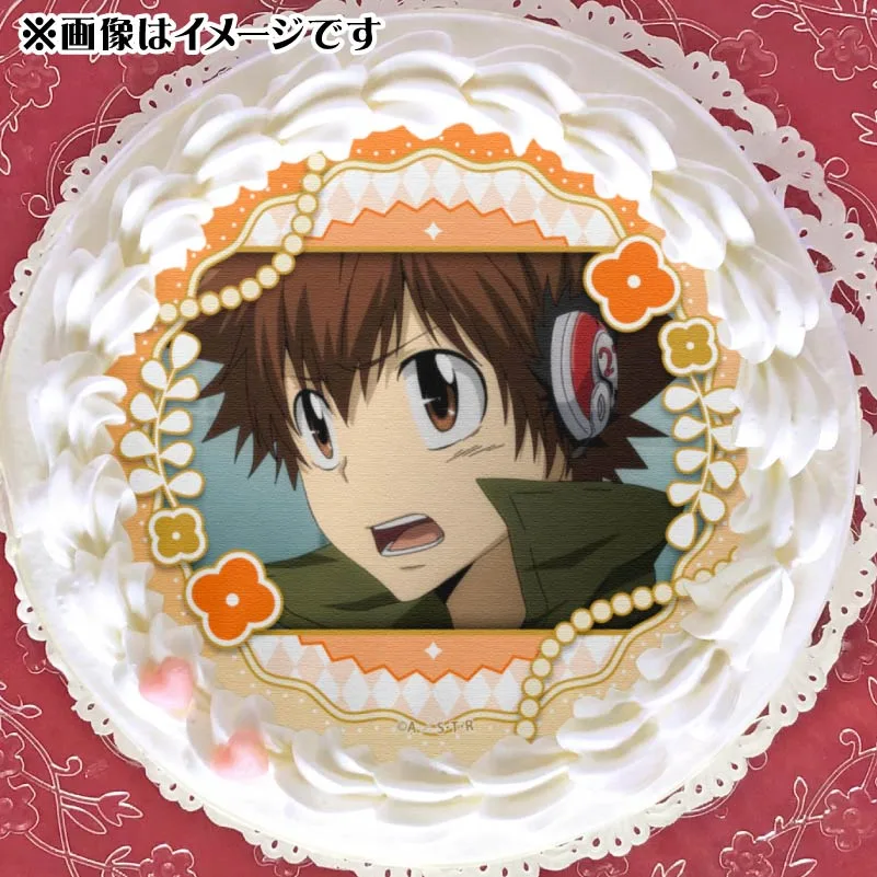 イースターデザインプリケーキ（沢田綱吉）【特典缶バッジ付き】[家庭教師ヒットマンREBORN!]