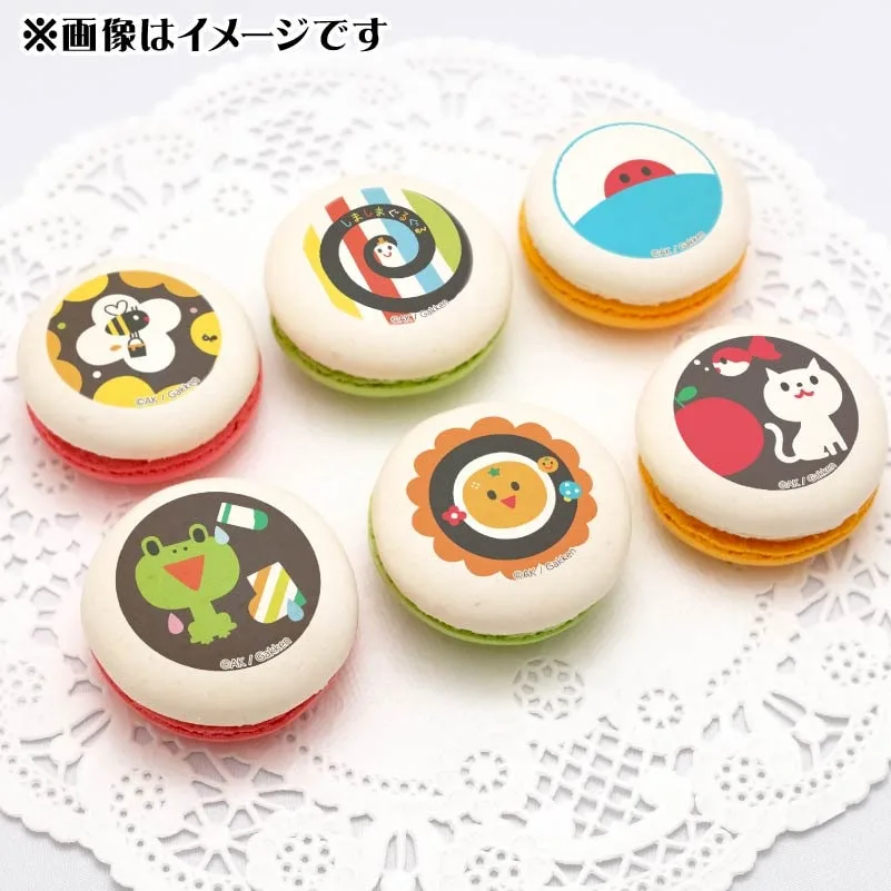 プリマカロン6個セット（いっしょにあそぼシリーズ）【特典缶バッジ付き】[しましまぐるぐる]