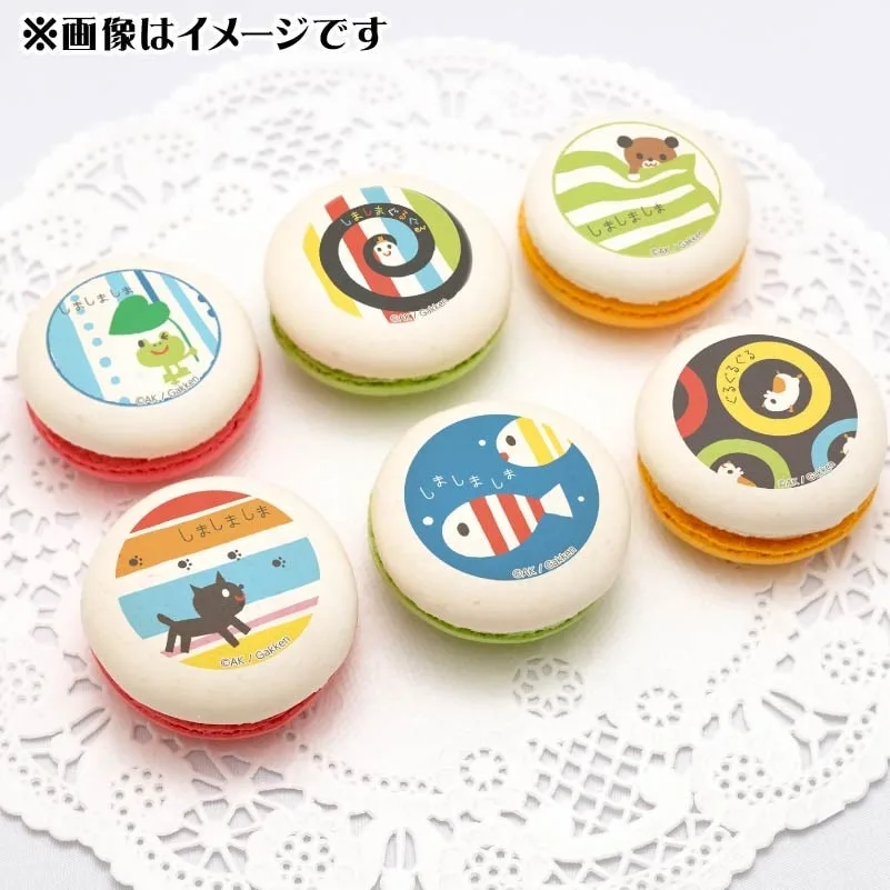 プリマカロン6個セット（しましまぐるぐる）【特典缶バッジ付き】[しましまぐるぐる]