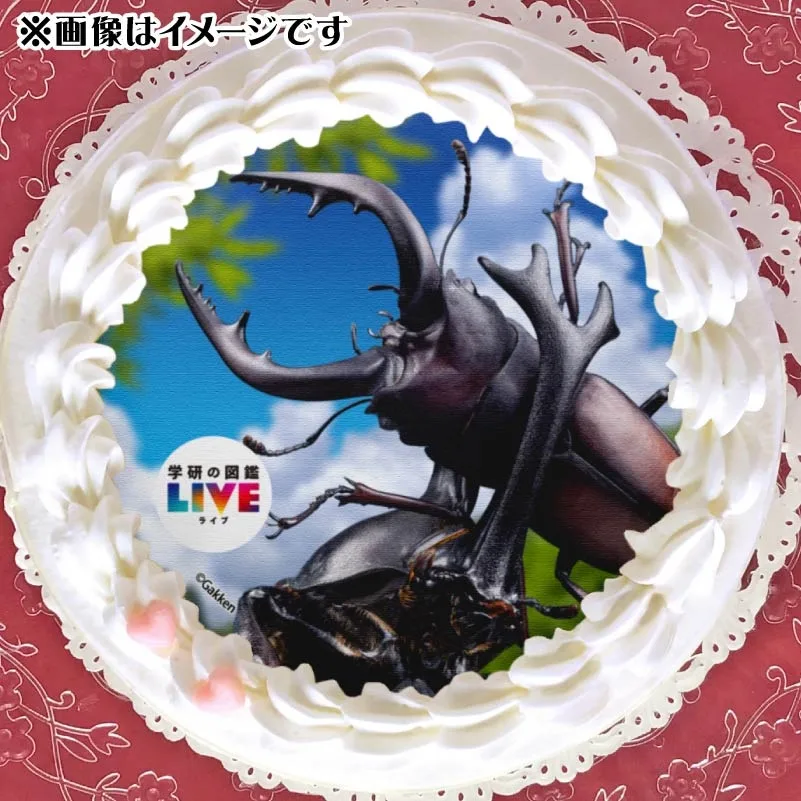 プリケーキ（昆虫）【特典カードまたは缶バッジ付き】[学研の図鑑LIVE]