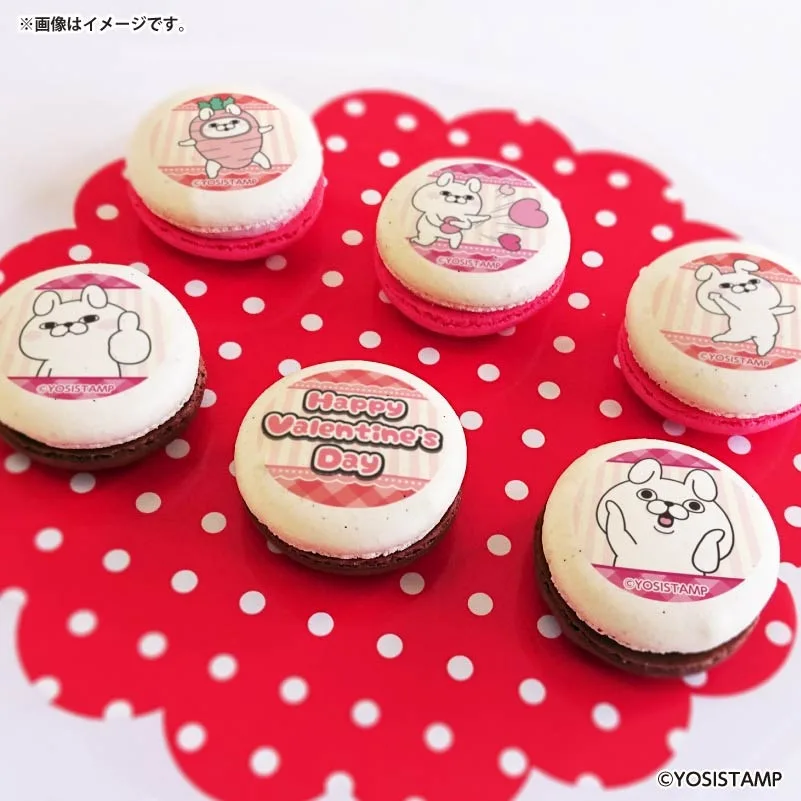 バレンタインプリマカロン6個セット2026（うさぎさん）【特典缶バッジ付き】[ヨッシースタンプ]