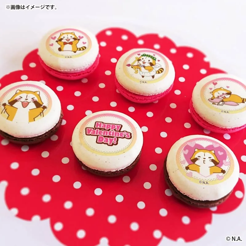 バレンタインプリマカロン6個セット2026（キューピッドデザイン）【特典缶バッジ付き】[ラスカル]