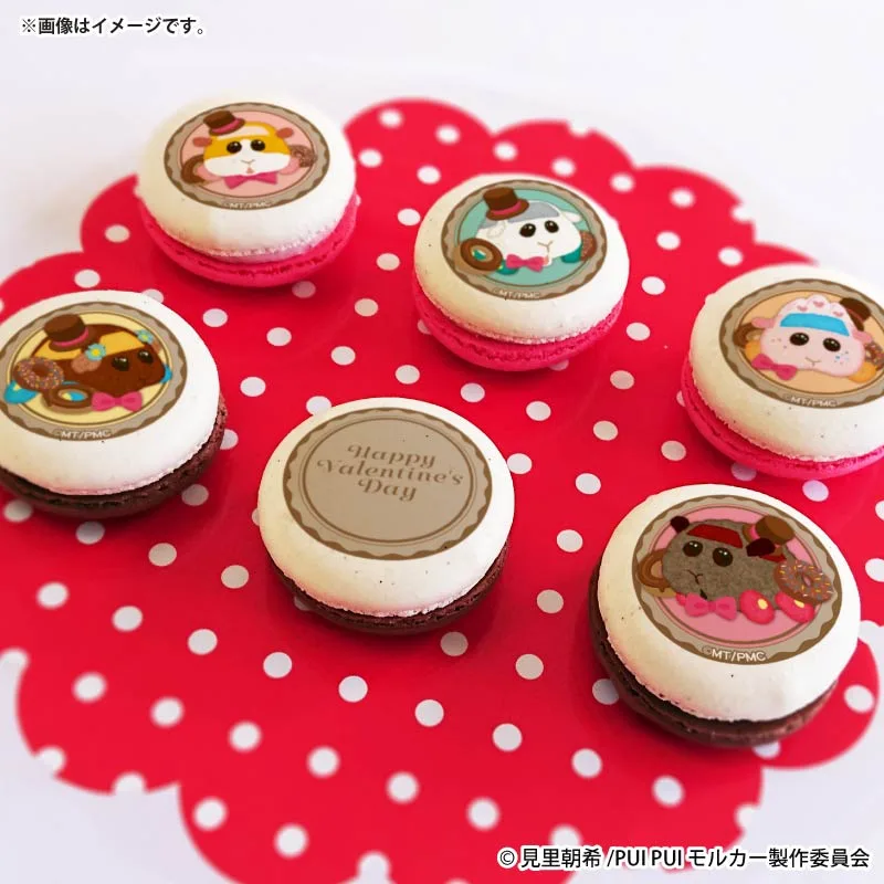 バレンタインプリマカロン6個セット2026（ポテト＆シロモ＆痛車アビー＆チョコ＆テディ）【特典缶バッジ付き】[PUI PUI モルカー]