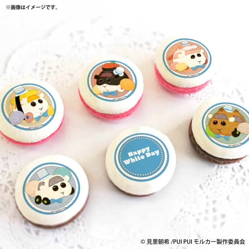 ホワイトデープリマカロン6個セット2026（寿司モルカー集合）【特典缶バッジ付き】[PUI PUI モルカー]