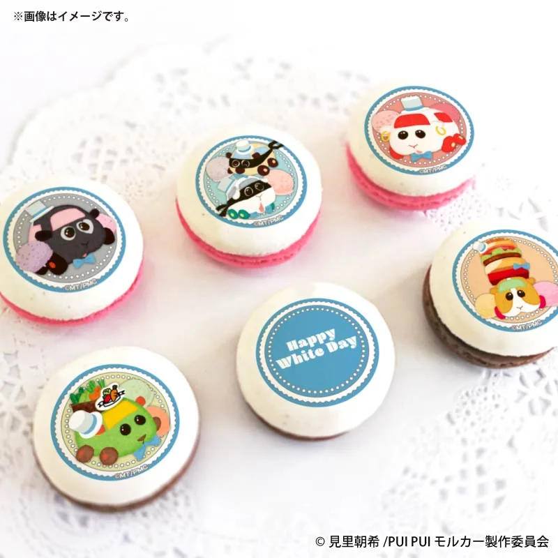 ホワイトデープリマカロン6個セット2026（ドッジ＆ローズ＆覆面シロモ＆覆面ポンタ＆野菜販売モルカー＆ハンバーガーモルカー）【特典缶バッジ付き】[PUI PUI モルカー]