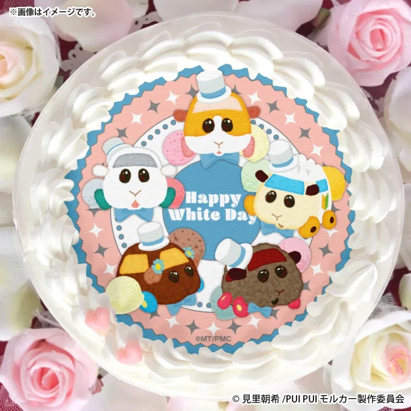 PUI PUI モルカー