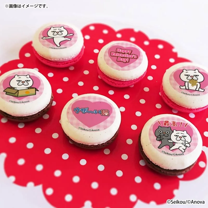 バレンタインプリマカロン6個セット2026（ウザ～～い猫）【特典缶バッジ付き】[セイコウ]
