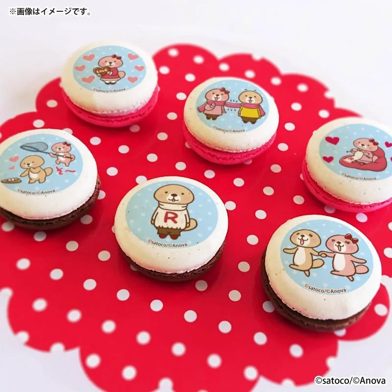 バレンタインプリマカロン6個セット2026【特典缶バッジ付き】[突撃！ラッコさん]