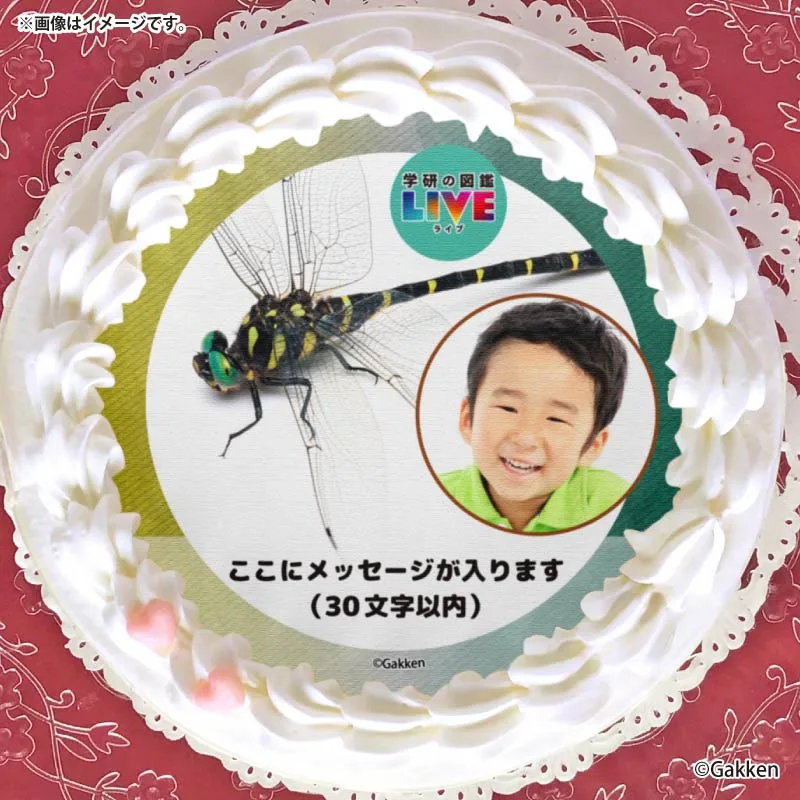 【写真メッセージ入り】プリケーキ（オニヤンマ）【特典カードまたは缶バッジ付き】[学研の図鑑LIVE]