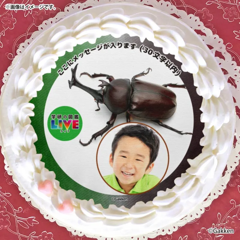 【写真メッセージ入り】プリケーキ（カブトムシ）【特典カードまたは缶バッジ付き】[学研の図鑑LIVE]