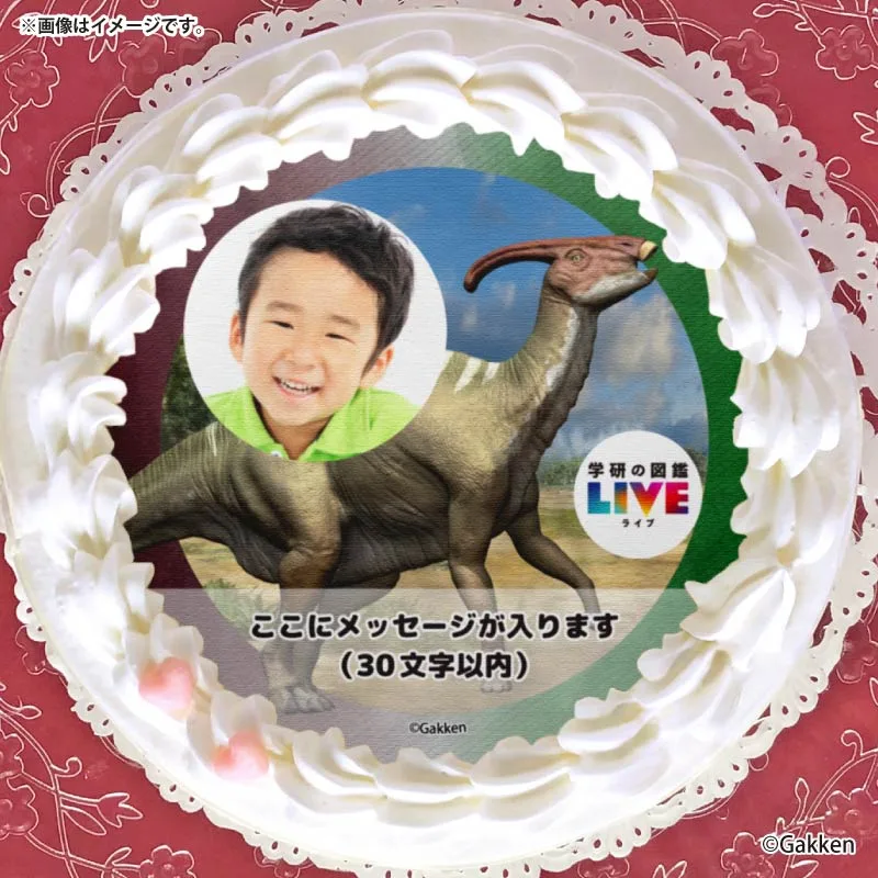 【写真メッセージ入り】プリケーキ（パラサウロロフス）【特典カードまたは缶バッジ付き】[学研の図鑑LIVE]