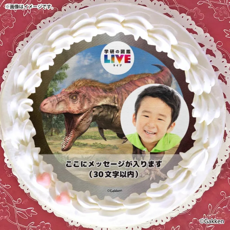 【写真メッセージ入り】プリケーキ（ティラノサウルス）【特典カードまたは缶バッジ付き】[学研の図鑑LIVE]