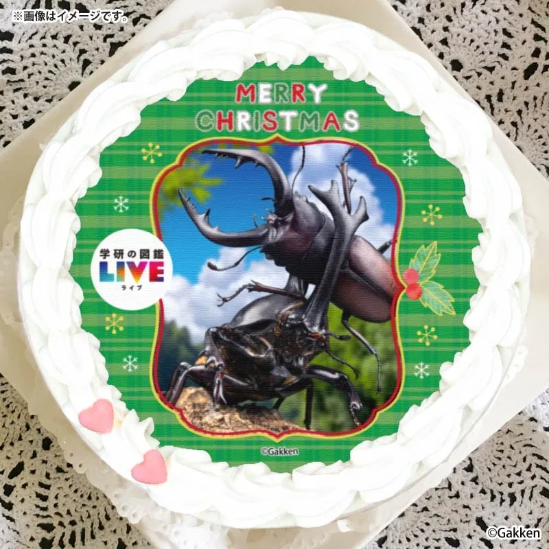 Xmasプリケーキ2025（昆虫）【特典缶バッジ付き】[学研の図鑑LIVE]
