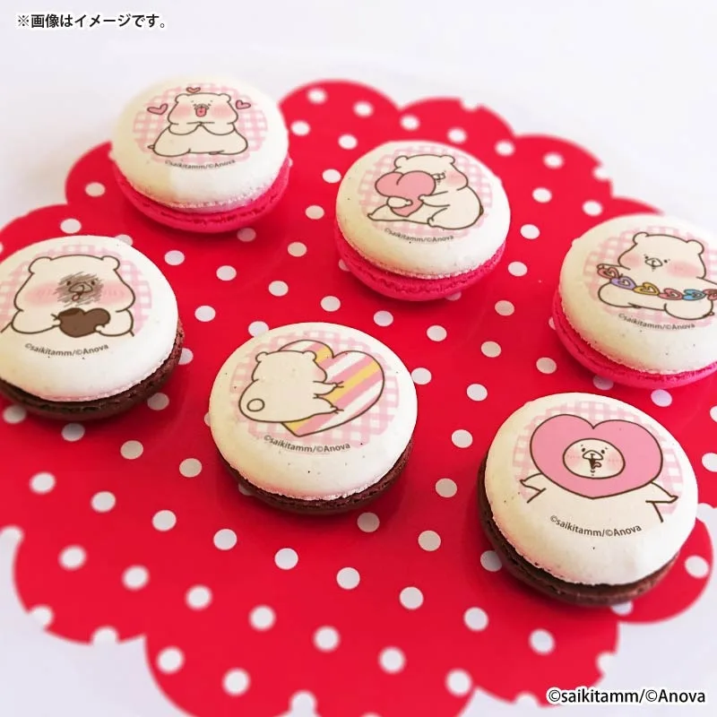 バレンタインプリマカロン6個セット2026【特典缶バッジ付き】[ともだちはくま]