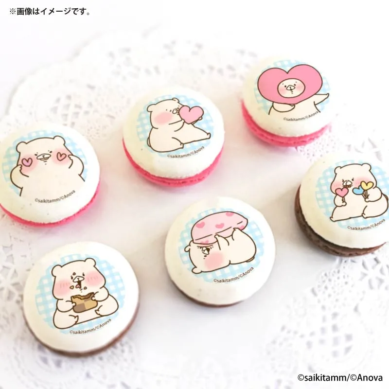 ホワイトデープリマカロン6個セット2026【特典缶バッジ付き】[ともだちはくま]