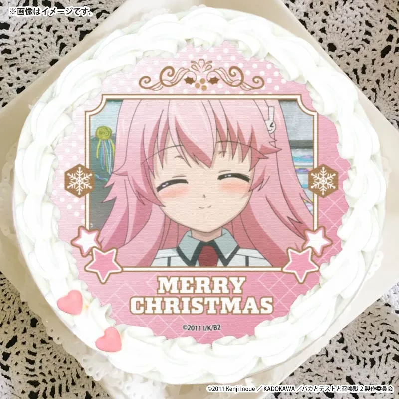 Xmasプリケーキ2025（姫路瑞希）【特典缶バッジ付き】[バカとテストと召喚獣]