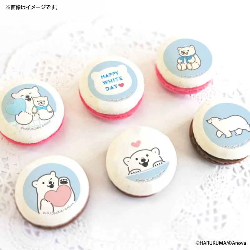 ホワイトデープリマカロン6個セット2026【特典缶バッジ付き】[シロクマシンプル]