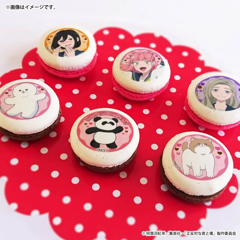 バレンタインプリマカロン6個セット2026【特典缶バッジ付き】[正反対な君と僕]