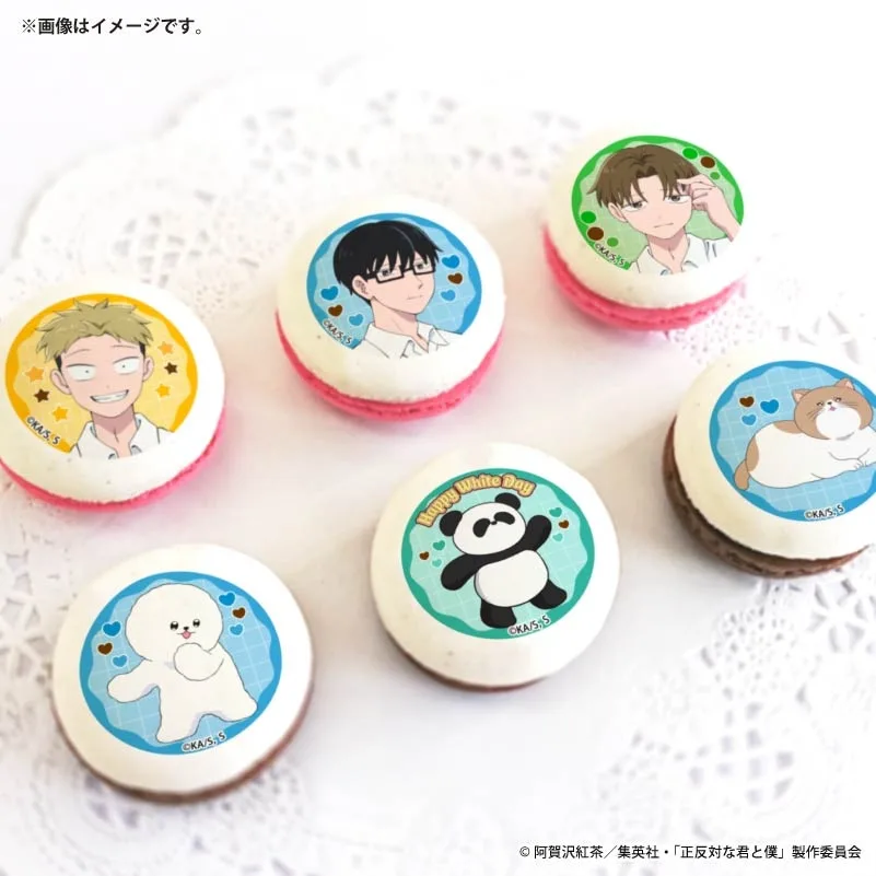ホワイトデープリマカロン6個セット2026【特典缶バッジ付き】[正反対な君と僕]