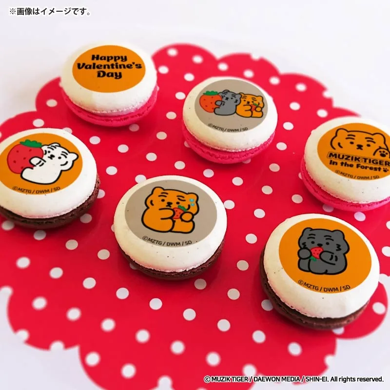 バレンタインプリマカロン6個セット2026（A柄）【特典缶バッジ付き】[MUZIK TIGER(ムジークタイガー)]