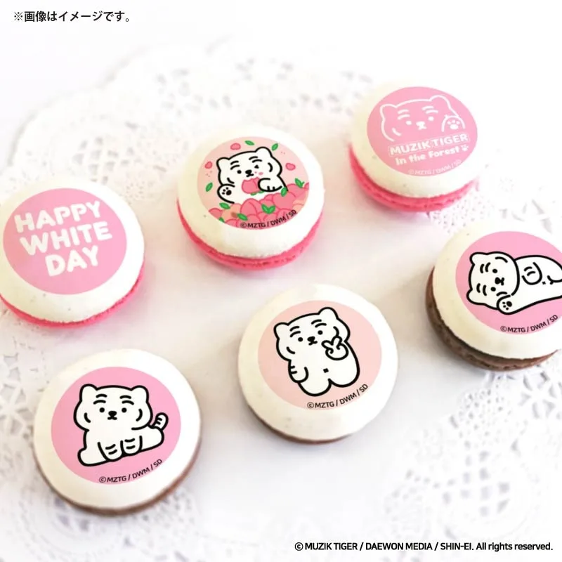 ホワイトデープリマカロン6個セット2026（A柄）【特典缶バッジ付き】[MUZIK TIGER]