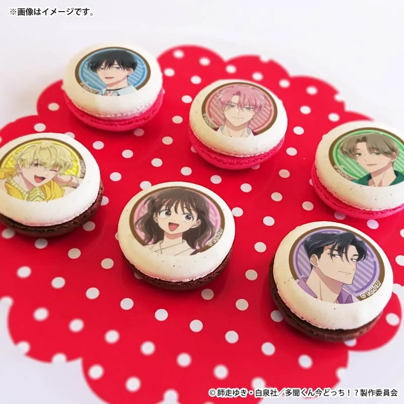 バレンタインプリマカロン6個セット2026【特典缶バッジ付き】『多聞くん今どっち！？』