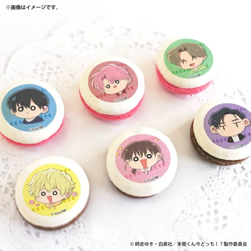 ホワイトデープリマカロン6個セット2026【特典缶バッジ付き】『多聞くん今どっち！？』