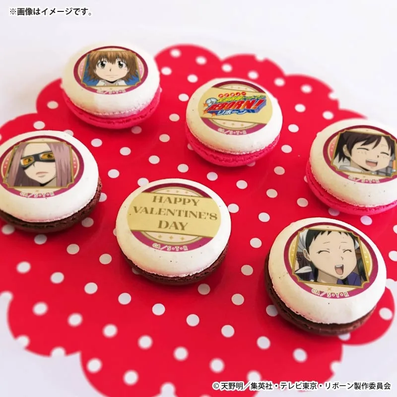 バレンタインプリマカロン6個セット2026（笹川京子＆三浦ハル＆ビアンキ＆イーピン（10年後））【特典缶バッジ付き】[家庭教師ヒットマンREBORN!]