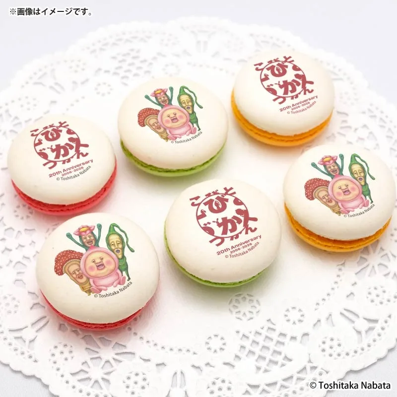 20周年記念プリマカロン6個セット【特典缶バッジ付き】[こびとづかん]