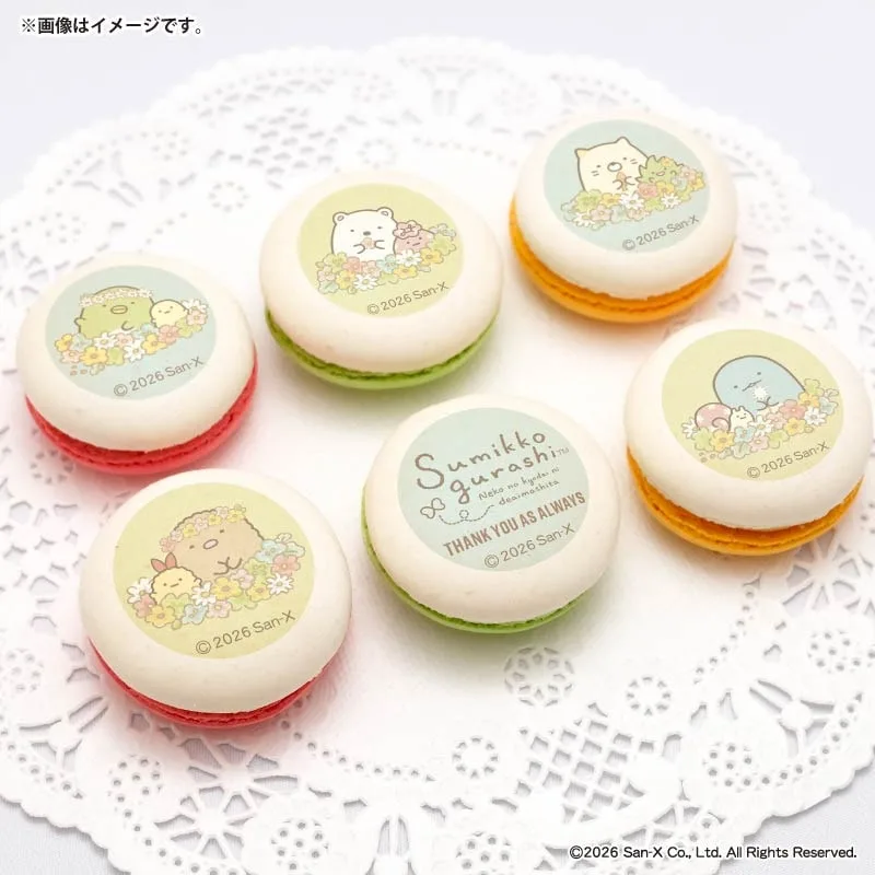 母の日父の日プリマカロン6個セット2026（A柄）【特典缶バッジ付き】[すみっコぐらし]