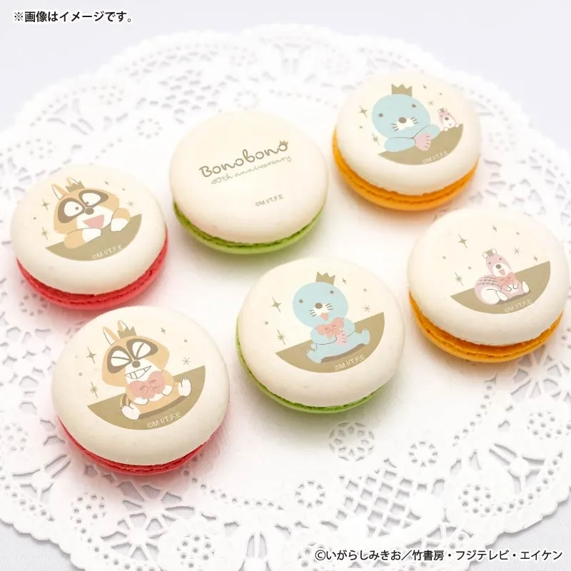 40周年記念プリマカロン6個セット（WHITE）【特典缶バッジ付き】[ぼのぼの]