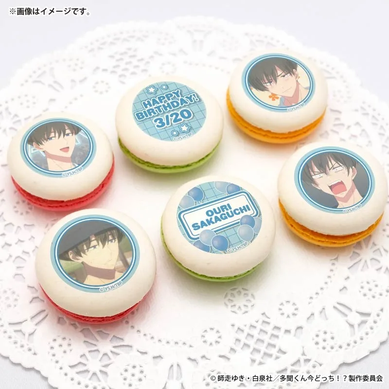 バースデープリマカロン6個セット2026（坂口桜利）【特典缶バッジ付き】[多聞くん今どっち！？]