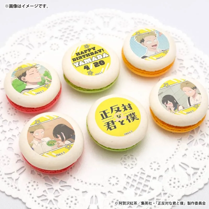 バースデープリマカロン6個セット2026（山田）【特典缶バッジ付き】[正反対な君と僕]