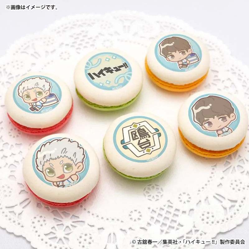 プリマカロン6個セット2026（星海光来・昼神幸郎(かきおこし)）【特典缶バッジ付き】[ハイキュー!!]