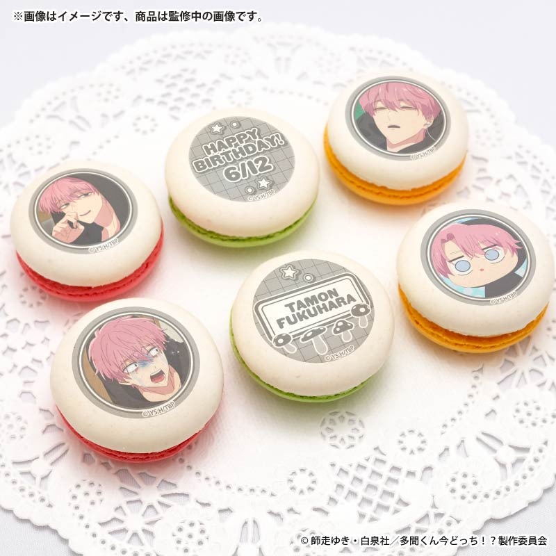 バースデープリマカロン6個セット2026（福原多聞(ジメ原)）【特典缶
