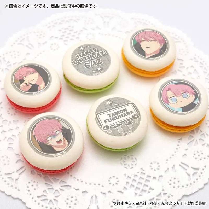バースデープリマカロン6個セット2026（福原多聞(ジメ原)）【特典缶バッジ付き】[多聞くん今どっち！？]