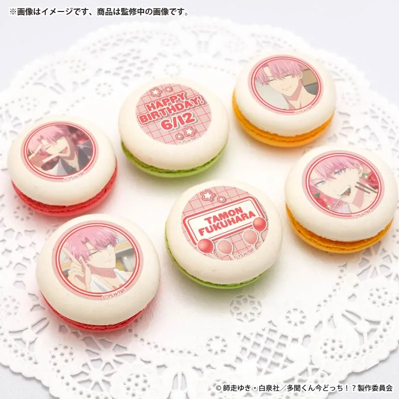 バースデープリマカロン6個セット2026（福原多聞(イケ原)）【特典缶バッジ付き】[多聞くん今どっち！？]