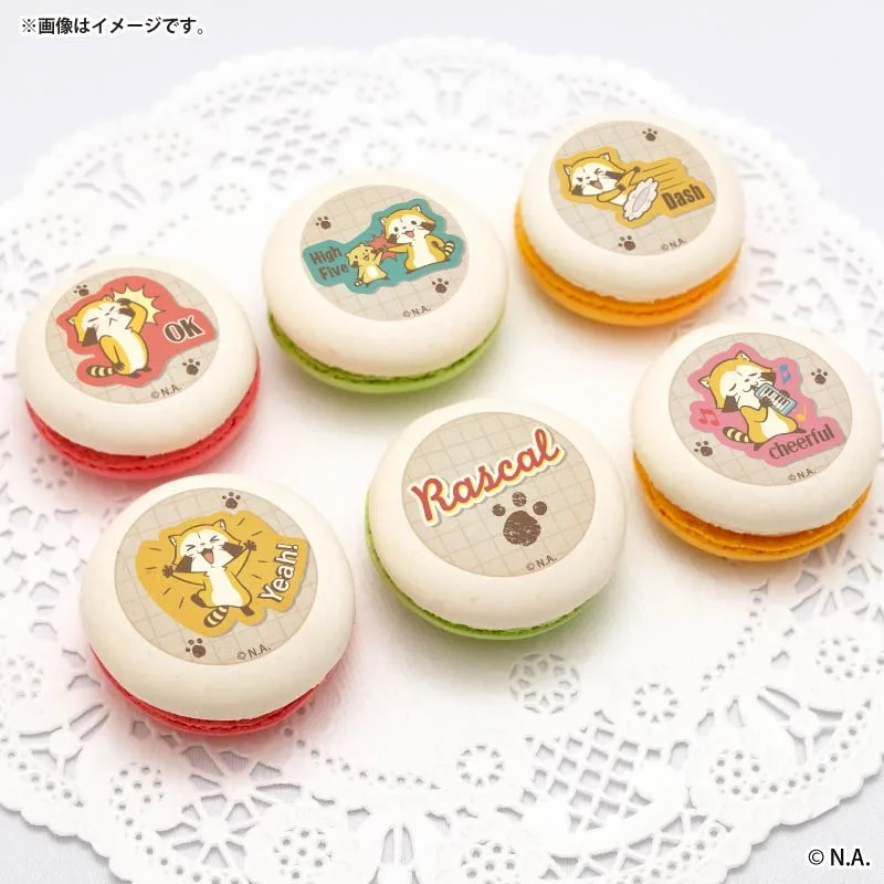 プリマカロン6個セット2026（TOONデザイン）【特典缶バッジ付き】[ラスカル]