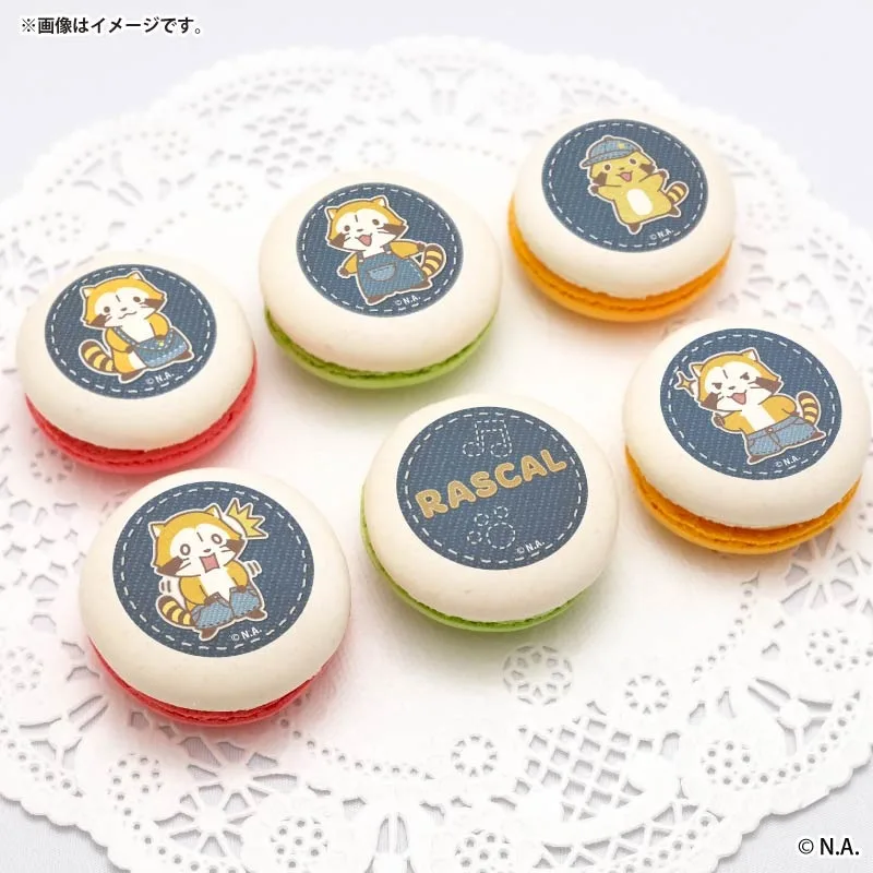 プリマカロン6個セット2026（デニムデザイン）【特典缶バッジ付き】[ラスカル]