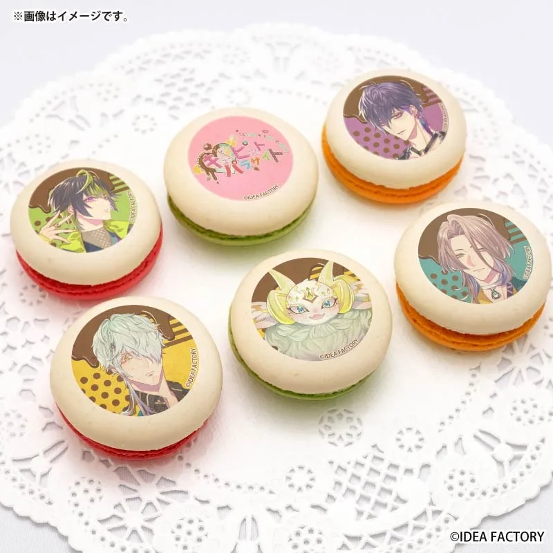 プリマカロン6個セット2026（琉輝＆アラン＆ピーター＆メレニス）【特典イラストカード付き】[キューピット・パラサイト -Sweet & Spicy Darling.-]