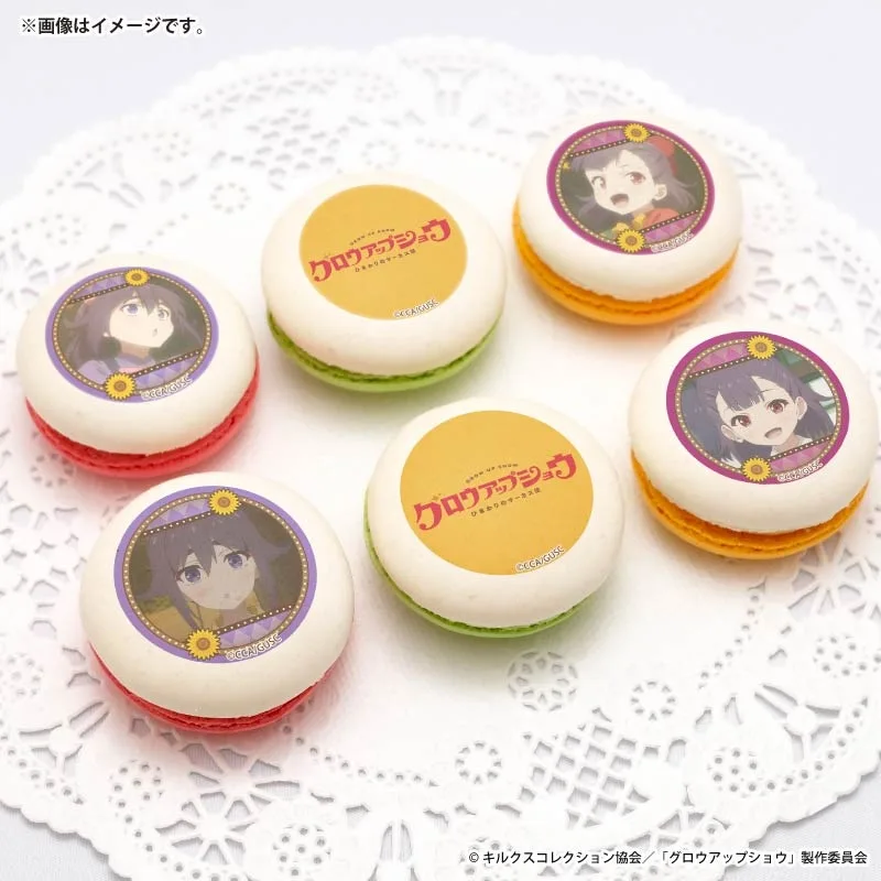 プリマカロン6個セット2026（由良 葵＆由良 茜）【特典缶バッジ付き】[グロウアップショウ ～ひまわりのサーカス団～]
