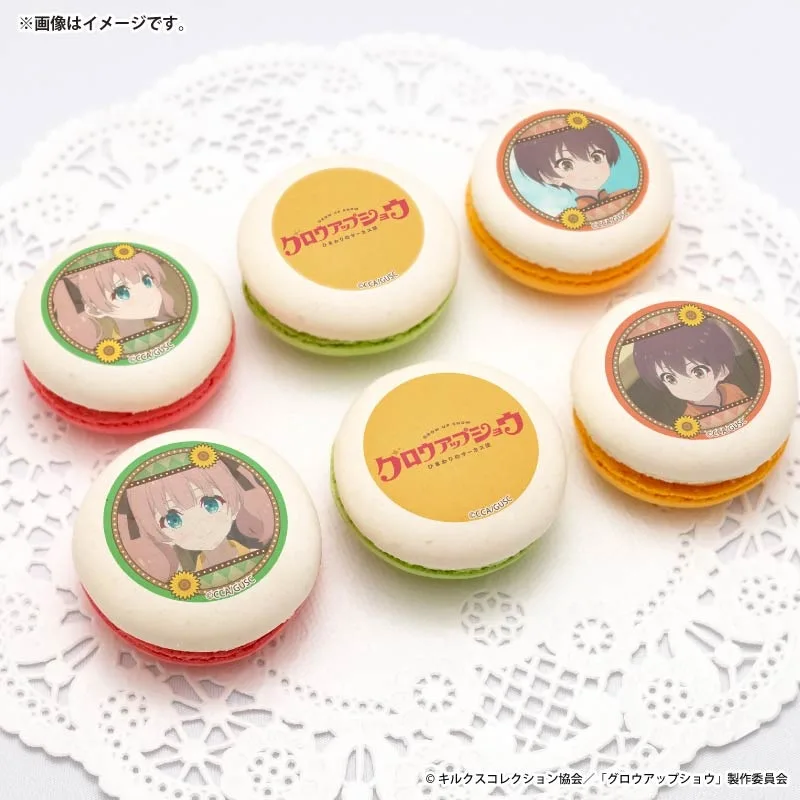 プリマカロン6個セット2026（吾野伊万里＆五十土五十鈴）【特典缶バッジ付き】[グロウアップショウ ～ひまわりのサーカス団～]