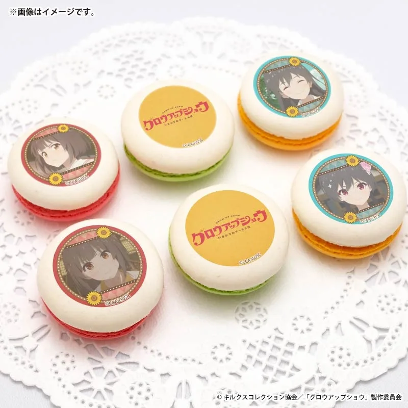 プリマカロン6個セット2026（鶴巻瑞佳＆川澄桜翔）【特典缶バッジ付き】[グロウアップショウ ～ひまわりのサーカス団～]